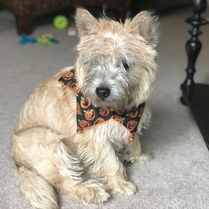 Meet your Posher, Deborah